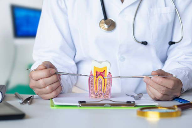 Best Emergency Treatment for Dental Infections or Abscesses in Dekal, IL